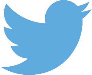Twitter-logo-blue-300x243